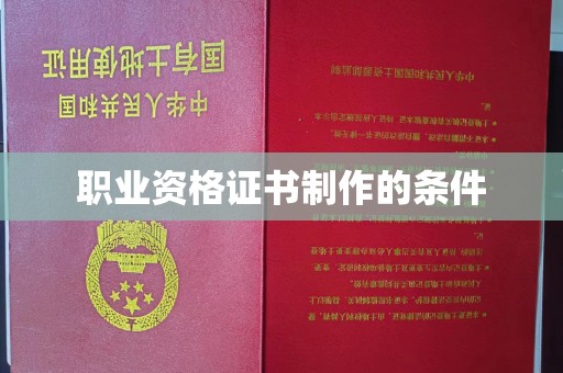 金湖职业资格证书制作的条件